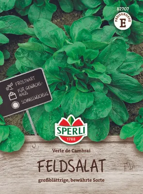 Produktbild von SPERLI Feldsalatsamen Verte de Cambrai Valerianella locusta 5-7 lfd. Meter