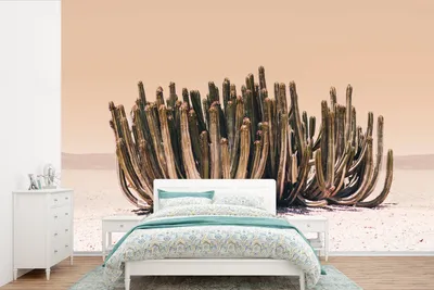 Produktbild von MuchoWow® Fototapete für Wohnzimmer oder Schlafzimmer Wandtapete Vinyl Motivtapete Kaktus - Pflanze - Natur - Grün - 600x400 cm - Vinyltapeten