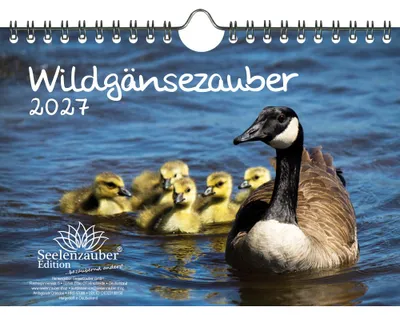 Produktbild von Wildgänsezauber DIN A5 Kalender für 2027 Wildgänse - Seelenzauber