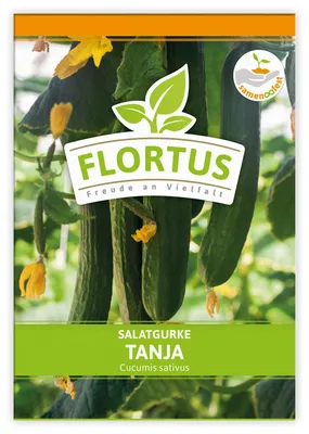 Artikelbild 1 von 'Salatgurke Tanja' aus der Kategorie Salatgurkensamen