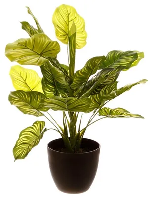 Produktbild von Atmosphera Jj3031 Blumentopf Gelb  Gelb One Size