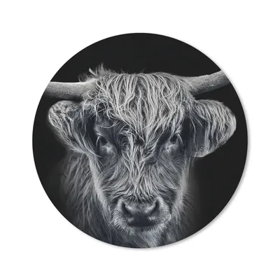 Produktbild von MuchoWow® Mauspad Mousepad Schottischer Highlander - Schwarz - Kuh - Tiere 50x50 cm - Mousepads - Maus Mat - Pad - Mausunterlage - Vinyl