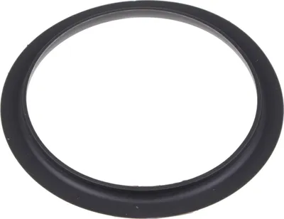 Obrázek produktu pro Daalderop - Dichtung Flansch - 079883098