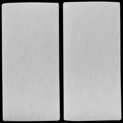 Produktbild von Wolf Cwl Großpackung Filter 1668494 500 x 237 mm, 2 Stück, für CWL-300/400, Bypass