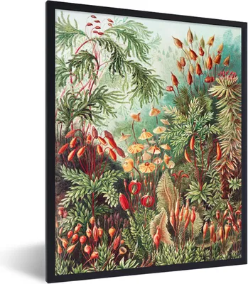 Produktbild von MuchoWow® Gerahmtes Poster Blumen - Kunst - Vintage - Natur - Botanisch 60x80 cm - Poster mit Schwarzem Bilderrahmen Wandposter Rahmen Foto Bilder - Premium - Wanddeko Wohnzimmer