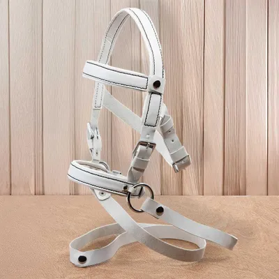 Image de Filet bridon éthologique blanc pour hobby horse