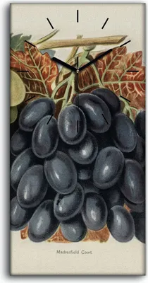 Produktbild von Wandbild Leinwand Bilder Wanduhr 30x60 Malerei Früchte Trauben Blätter Kunst - schwarze Hände