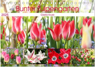 Produktbild von Bunter Tulpengarten (Tischkalender 2025 DIN A5 quer), CALVENDO Monatskalender