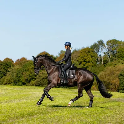 Image de Chabraque de dressage LeMieux Loire Classic Satin