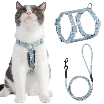 Produktbild von Katzengeschirr Katzenbrustgeschirr mit Leine - 145 cm - Größe M - Blau