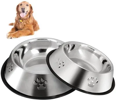 Image de Gamelle pour chien Taille M Acier inoxydable Antip
