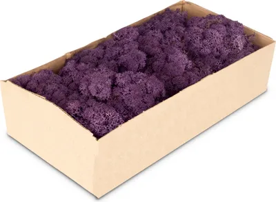 Produktbild von Islandmoos lila / aubergine 500g