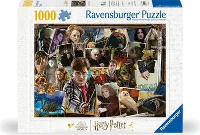 Image de Harry Potter vs Voldemort Ravensburger 12000462