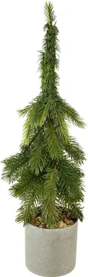 Produktbild von Zipfeltanne künstlich im Topf - Weihnachtsbaum Grün 55cm - Tischdeko Weihnachtsdeko Weihnachtstanne