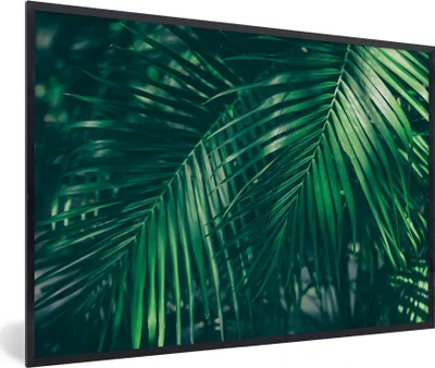 Produktbild von MuchoWow® MuchoWow® Gerahmtes Poster Palmenblätter - Makro - Grün - Mädchen - Kinder - Jungen 90x60 cm - Poster mit zchwarzem Bilderrahmen - Fotorahmen - Foto-Plakat