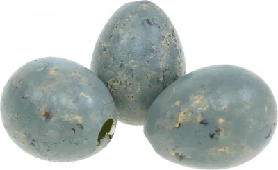 Produktbild von Wachtelei Deko Grau marmoriert Osterdeko 3cm 50 Stück