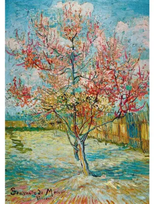 Produktbild von BLUEBIRD Puzzle Rosafarbener Pfirsich 1000 Stü ck