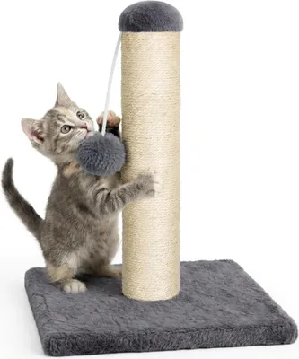 Produktbild von Kratzpfosten, Kratzstamm 34 cm, Kratzpsäule für Katzen , klein und stabil, mit Plüschball, grau