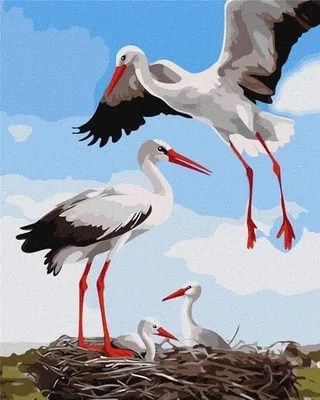 Obrázok produktu pre Maľovanie podľa čísel – Rodina bocianov, 40x50 cm – Ideyka