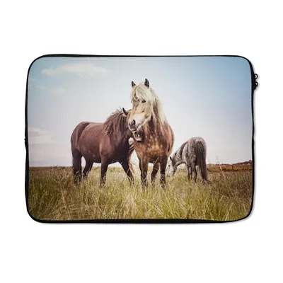 Produktbild von MuchoWow® Laptop Hülle 14 ZollPferde - Gras - Frühling Laptoptasche - Laptoptasche - Stoßsicher - Schutzhaube