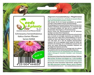 Produktbild von 5x Echinocactus horizonthalonius Kaktus Garten Pflanzen - Samen B2064