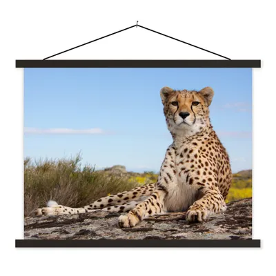 Produktbild von MuchoWow® Textilposter Leopard - Tiere - Natur 60x45 cm mit schwarzem Rahmen - Poster Schlafzimmer