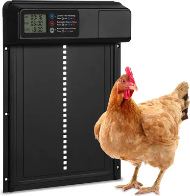 Obrázek produktu pro Clanmacy Automatická klapka na kuřata - velká s ochranou proti chycení do pasti v časovém/manuálním režimu, LCD displej, vodotěsná IPX4, černá, s ochranou proti chycení do pasti, 33x24,5 cm