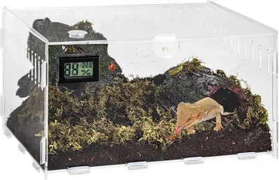 Obrázok produktu pre Krmítko do terária s teplomerom a vlhkomerom, 20x12x12 cm, vhodné pre plazy