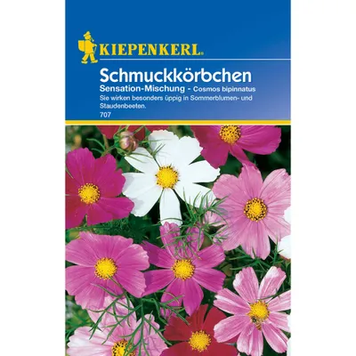 Produktbild von Kiepenkerl Schmuckkörbchensamen Sensation-Mischung