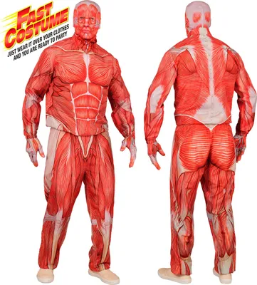 Zdjęcie produktu dla Kostium Anatomy Garnitur Halloween, rozmiar: S