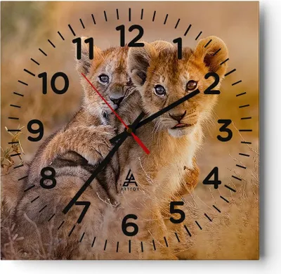 Produktbild von Wanduhr - Quadrat - Glasuhr - Löwe Natur Tier - 30x30cm - Schleichendes Uhrwerk - Lautlos - zum Aufhängen bereit - Dekoration Modern - Wanddekoration aus Glas - C4AC30x30-3480