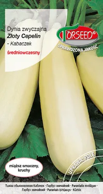 Produktbild von Samen des Gewöhnlichen Kürbisses - Torsaat