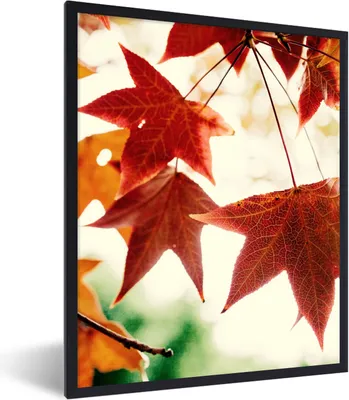 Produktbild von MuchoWow® Gerahmtes Poster Herbstblätter - November - Natur - Bäume 30x40 cm - Poster mit Schwarzem Bilderrahmen Wandposter Rahmen Foto Bilder - Wanddeko - Kunstdrucke