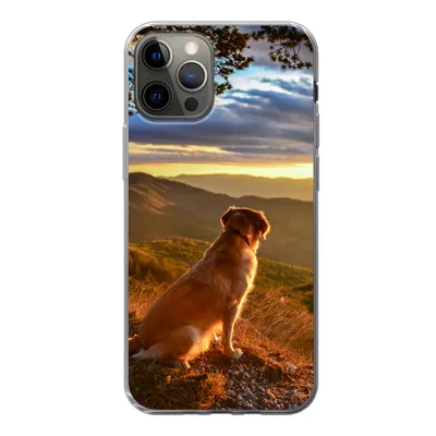 Produktbild von MuchoWow® Handyhülle Schutzhülle Hülle für iPhone 12 Pro Ein Golden Retriever beobachtet den Sonnenuntergang Silikon Softcase Handy Hülle - Abdeckung