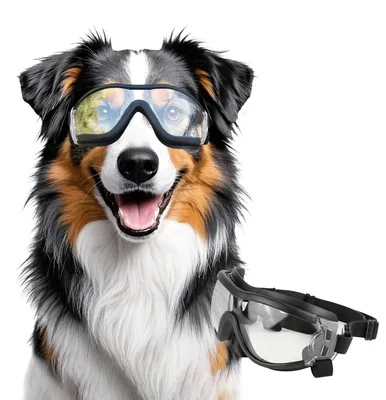Produktbild von Verstellbare Hundesonnenbrille mit UV-Schutz und Winddichtigkeit – transparent