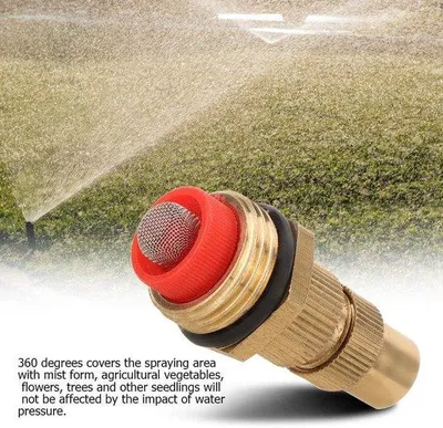 Image de Buse de brumisation réglable pour l'arrosage du jardin, en laiton