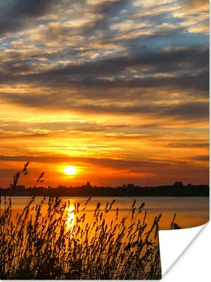 Produktbild von MuchoWow® Poster Sonnenuntergang - Meer - Horizont - Himmel - Pflanzen 60x80 cm - Schlafzimmer Dekoration