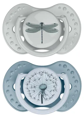 Image de difrax BOTANIC 2 sucettes dynamiques - 3 à 6 mois - Bleu | par Difrax