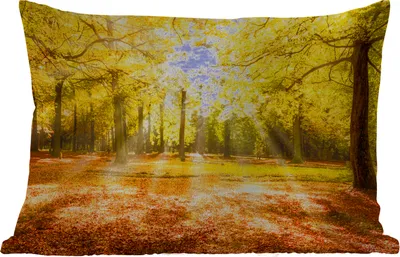 Produktbild von MuchoWow® Outdoor Kissen - Baum - Natur - Sonne - Landschaft - Wald - 50x30 cm - Wetterfest - Lounge Kissen - Sofa kissen - Wohnzimmer Dekoration