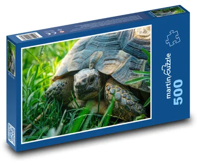 Obrázok produktu pre Puzzle 500 Korytnačka na lúke - martinpuzzle