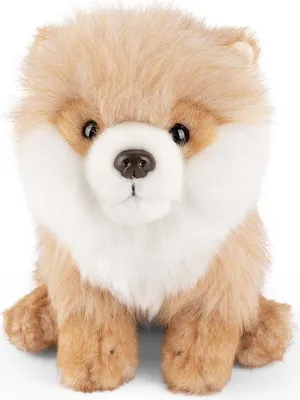 Image de Living Nature : peluche chien poméranien
