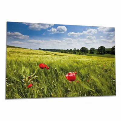 Produktbild von Wallario Herdabdeckplatte aus Glas, Größe 90 x 52 cm 1-teilig, Motiv Mohnblumenwiese auf grüner Wiese unter blauem Himmel