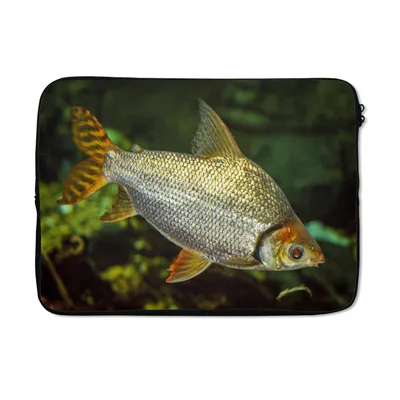 Produktbild von MuchoWow® Laptop Hülle 14 ZollFisch - Wasser - Pflanze Laptoptasche - Laptoptasche - Stoßsicher - Schutzhaube