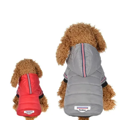 Produktbild von Wasserdichte Winterjacke für Hund Grau S