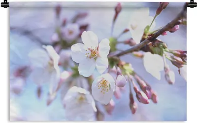 Produktbild von MuchoWow® Wandteppich Wandbehang Blumen - Sakura - Zweig 90x60 cm Tapisserie Dekoration Wandtuch - Wandskulpturen - Bildteppich