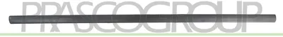 Image de Moulure décorative PRASCO pour la porte avant gauche de la VW POLO (9N) VG0211404