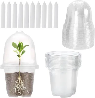 Obrázek produktu pro Sada průhledných květináčů na pěstování – pro semena a řízky – 10 kusů – Ø 9 cm – plast