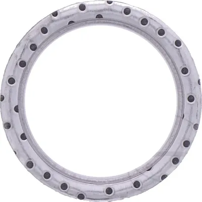 Immagine prodotto di Guarnizione del collettore per Yamaha YFM 660 R, anni di produzione 2001-2005, di pamoto - Nuova
