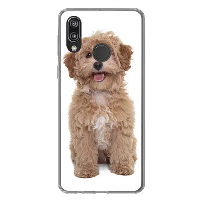 Produktbild von MuchoWow® Handyhülle Schutzhülle Hülle für Huawei P20 Lite (2020) Hund - Haustiere - Fell Silikon Softcase Handy Hülle - Kartenhalter