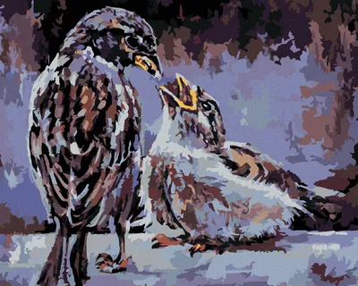 Zdjęcie produktu dla Zuty - Painting by Numbers - KŔMENIE VÁČIKOV, 40x50 cm, rozciągnięte płótno na ramie